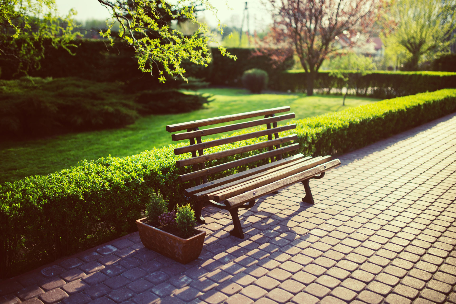 backyard bench flora